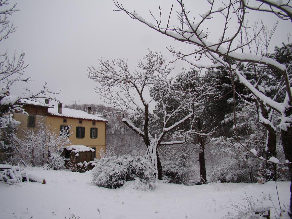 Borgo Tepolini Country House Castel del Piano  Eksteriør bilde