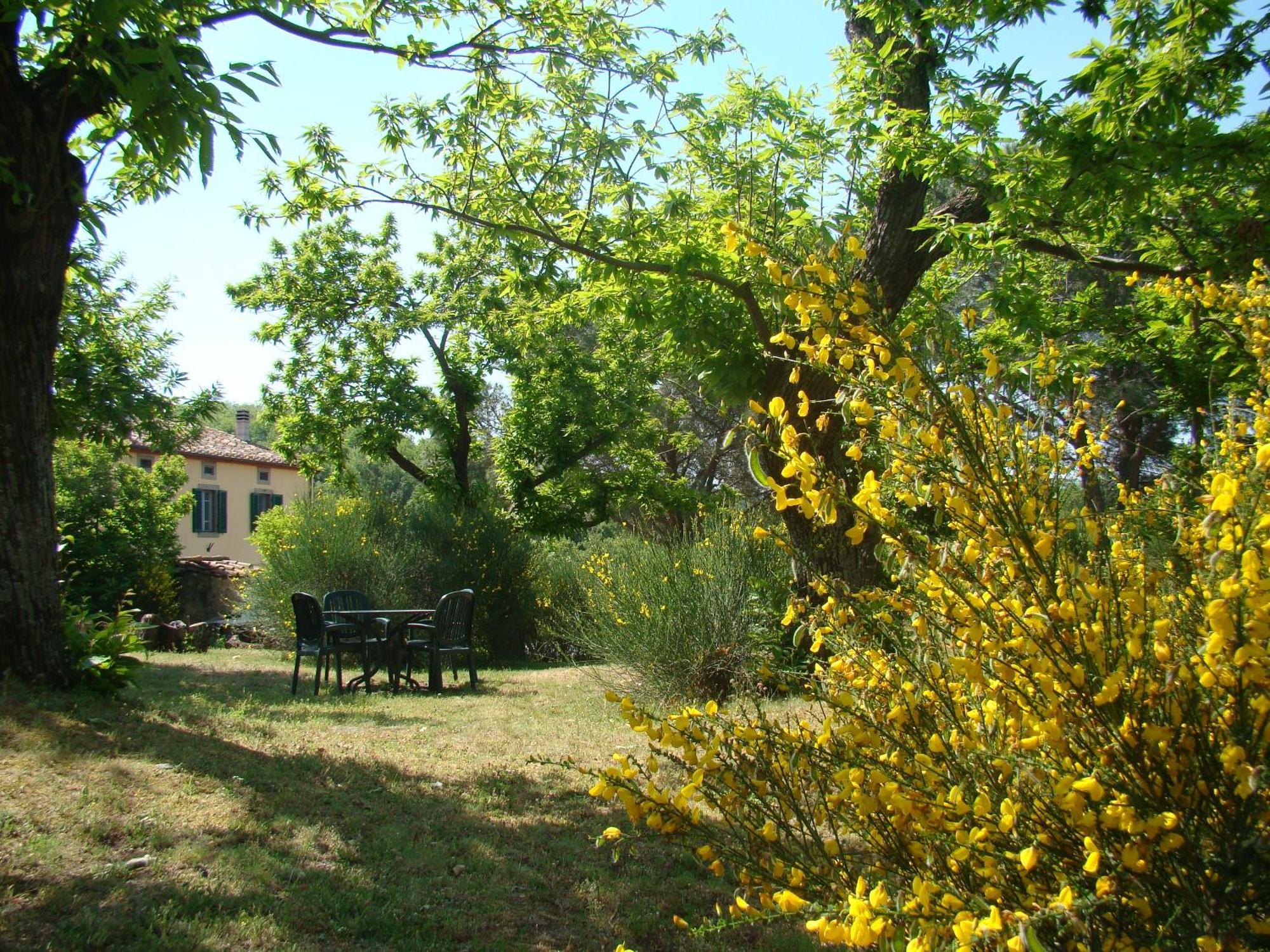 Borgo Tepolini Country House Castel del Piano  Eksteriør bilde